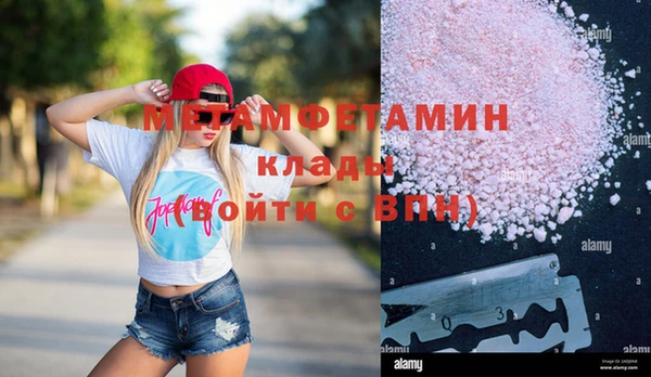 прущие грибы Краснотурьинск