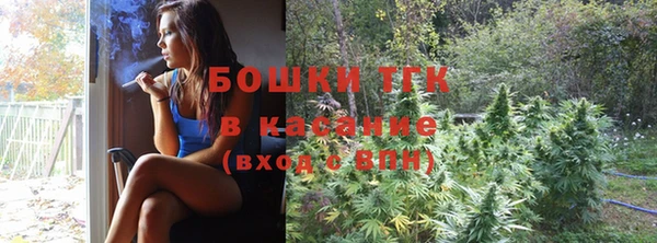 прущие грибы Краснотурьинск