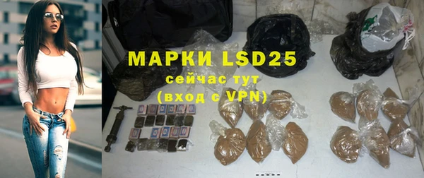 прущие грибы Краснотурьинск