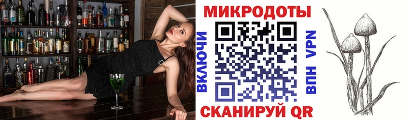 Купить  Новоржев  Псилоцибиновые грибы MAGIC MUSHROOMS 